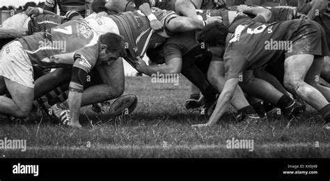 M L E De Rugby Banque De Photographies Et Dimages Haute R Solution