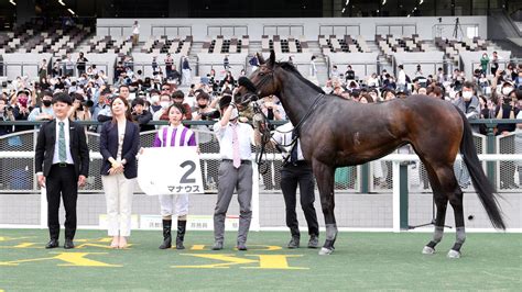 古川奈穂騎手、今年9勝目も神妙「いろんな方にいろいろご迷惑を」／京都8r 競馬写真ニュース 日刊スポーツ