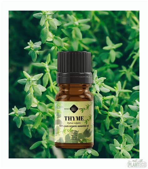 Ulei Esential De Cimbru Bio Thyme Ml Ellemental Planteco