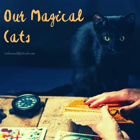 Magical Cats Ancient History Folklore Cats As The Witch S Familiar