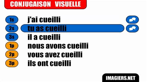 French Verbs Cueillir Pass Compos Youtube