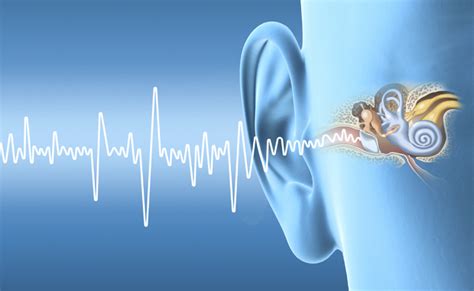 The Link Between Hearing Loss And Cognitive Health Healthycells Magazine