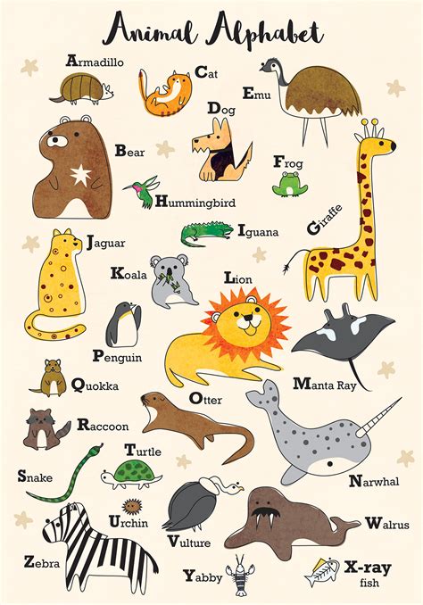 Types Of Animals Chart