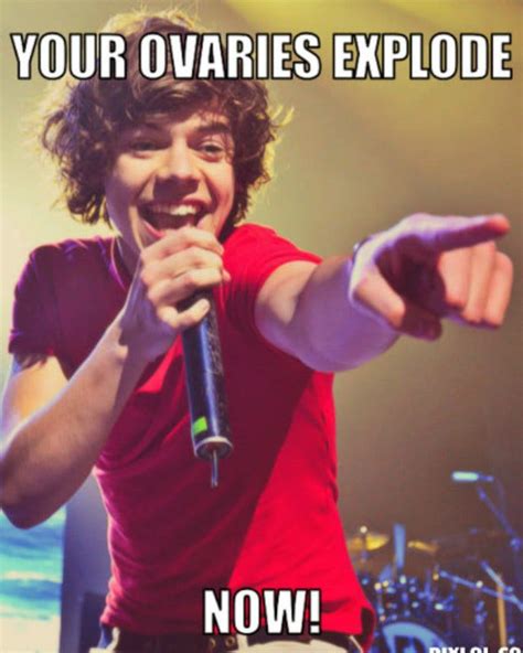 19 Best Harry Styles Quotes Memes And Hot Pictures YourTango