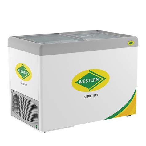 Western Stainless Steel WHF325G Deep Freezer At Rs 27192 In Hyderabad