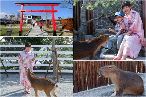 【宜蘭】張美阿嬤農場：餵水豚君、梅花鹿，還能穿和服！預約門票＆附近景點彙整 波比看世界 痞客邦