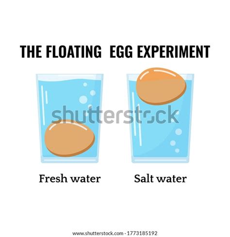 Eggs Floating Water Transparent Glass Isolated Stock Vector Royalty