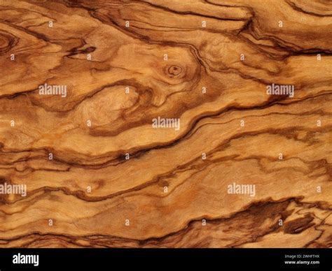 Olive Wood Veneer Stock Photo Alamy