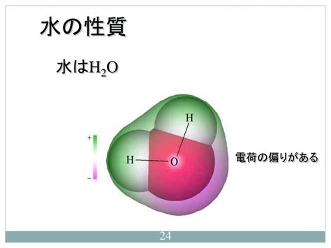 Ppt 生物学 Powerpoint Presentation Free Download Id7004583