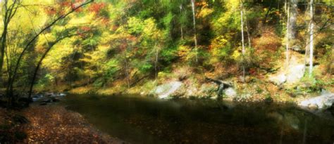 Fall Colors in the Great Smoky Mountains - Inside Pigeon Forge TN