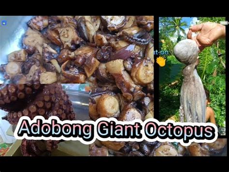 How To Cook Giant Octopus Fresh From The Sea And Caught My Papa