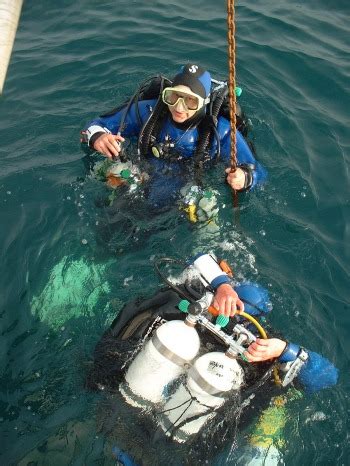 Les Formations De Blue Dolphin Centre De Plong E Diving Center