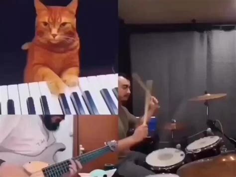 Jazz Meme Subido Por Sandro916 Memedroid