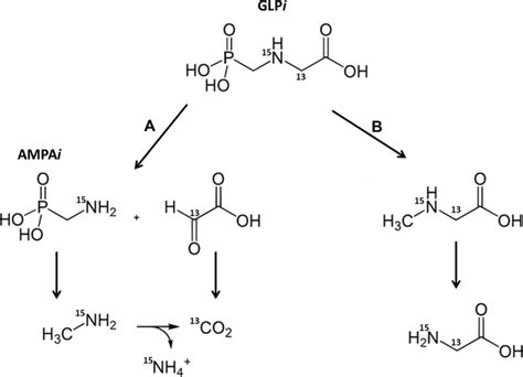 Degradation Pathways Of Isotopic Labeled ¹³c2 ¹⁵n Glyphosate Glpi And