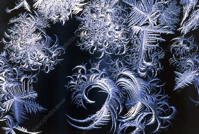 Frost patterns - Stock Image - E128/0268 - Science Photo Library