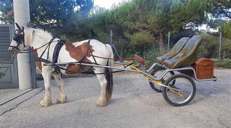 El futuro de la AUTOMOCIÓN Francesa ya está aquí Forocoches