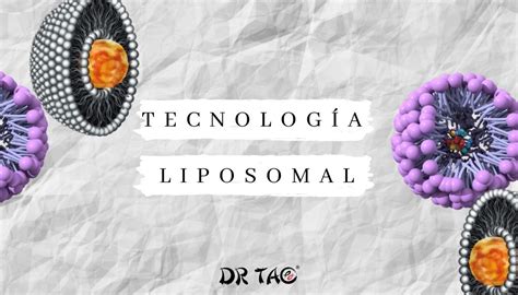 Qu Es La Tecnolog A Liposomal Vitam Nica Y Cu Les Son Sus Beneficios