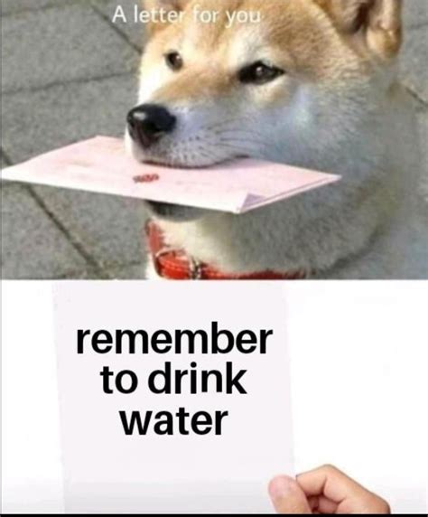 Drink Water Memes