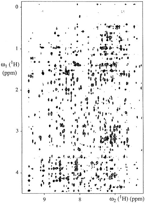 2D 1 H 1 H NOESY Spectrum Of The Plant Pathogenesis Related Protein