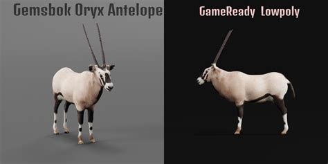 Gemsbok Oryx Antelope Blender Market