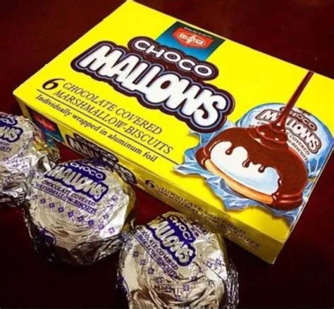 Fibisco Choco Mallows 100g Lazada PH