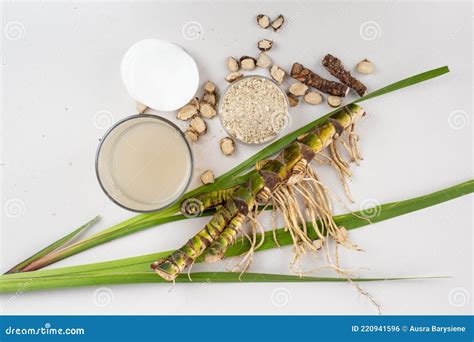 Fresh And Dried Acorus Calamus Roots Also Known As Sweet Flag Calamus