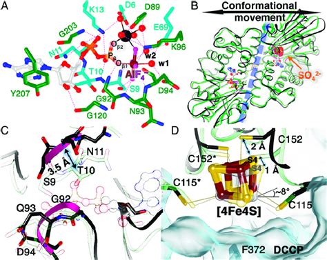 Structures Of Dccp Dccp R With Bound Mgadp Alf 4 And Without Download Scientific Diagram