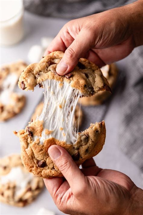 Chocolate Chip S Mores Cookies No 2 Pencil