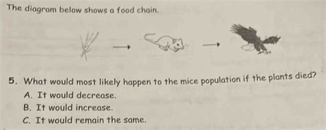 Solved: The diagram below shows a food chain. 5. What would most likely ...