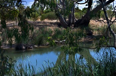 Wimmera River Horsham