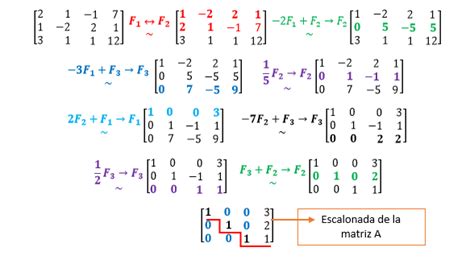 MATRIZ ESCALONADA EN FORMA REDUCIDA O CANÓNICA