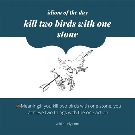 Idiom Of The Day Kill Two Birds With One Stone Tv Acres