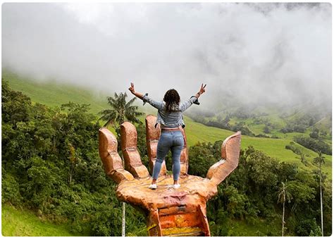 El Valle de Cocora: Mini Guía | Ubicación, Recorridos y Clima