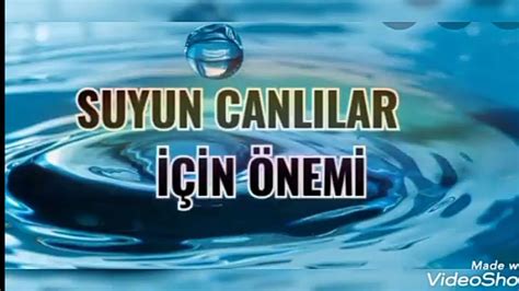 Suyun canlılar için önemi YouTube