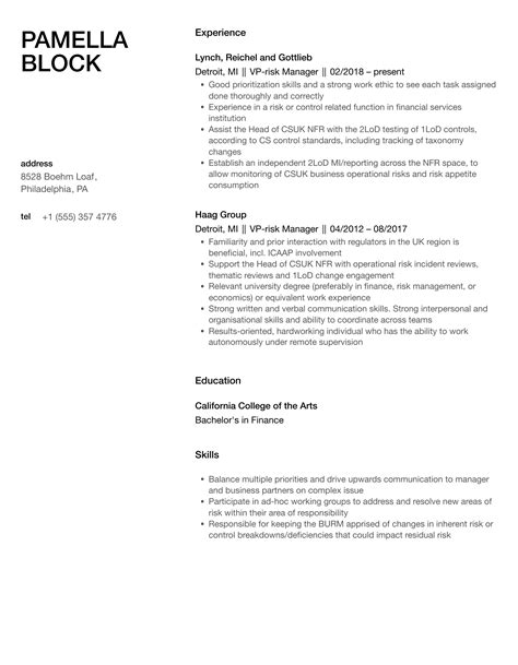 VP Risk Manager Resume Samples Velvet Jobs