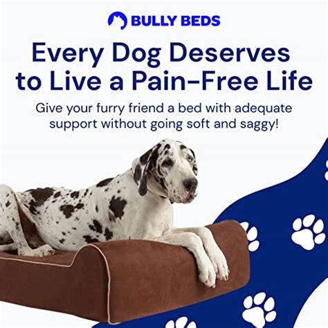 Bully Beds Orthopedic Dog Bed - Memory Foam Dog Bed for Arthritic ...