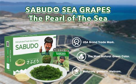 Sabudo Sea Grapes Dehydrated Lato Seaweed King Umibudo