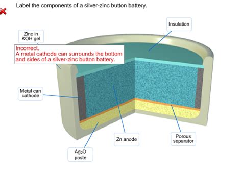 Solved Label The Components Of A Silver Zinc Button Battery