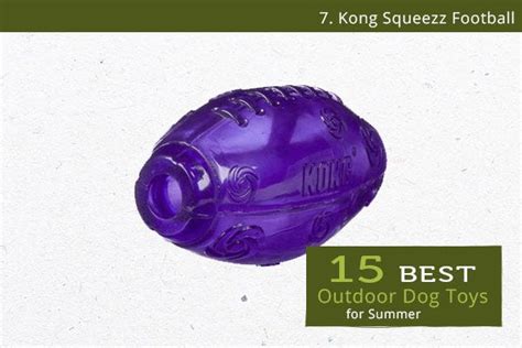 15 Best Outdoor Dog Toys For Summer