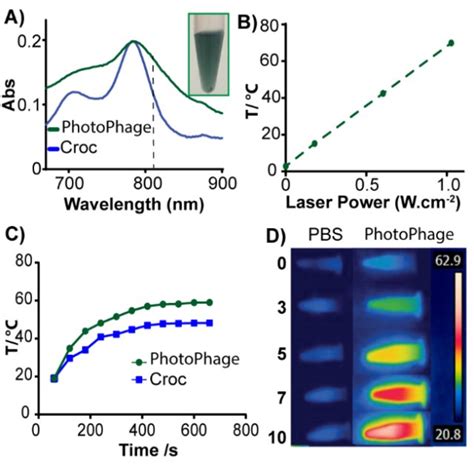 A Photothermal Stability Of Photophage After Min Laser Irradiation