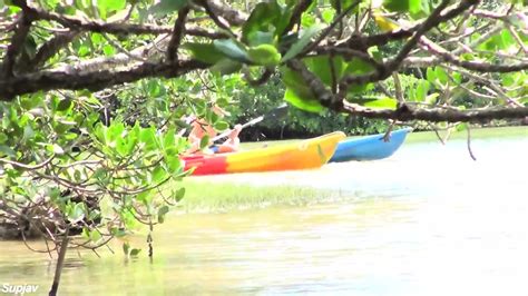 Outdoor Sex In A Mangrove Forest A Famous Sightseeing Spot In Okinawa China Matsuoka Eporner