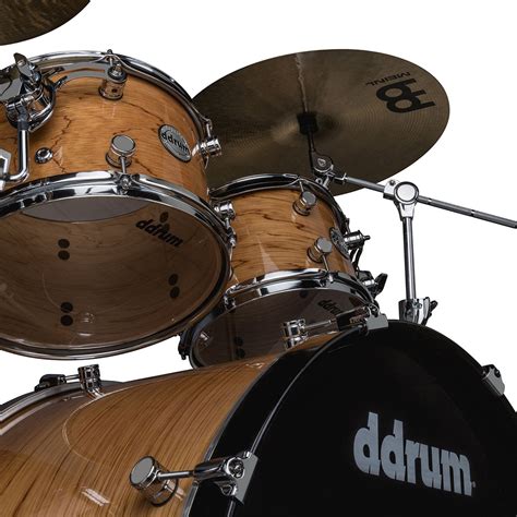 Reflex Elt Pc Gloss Nat Shell Pack Ddrum