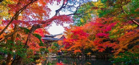 東北の秋の紅葉狩り・紅葉旅行特集2024｜国内旅行・国内ツアーは日本旅行