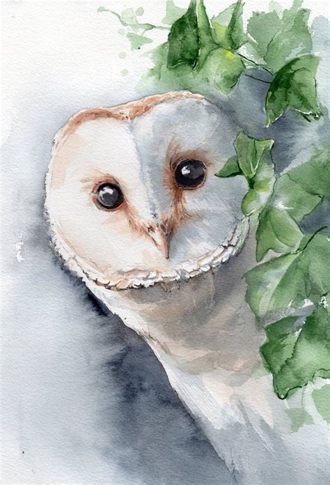 Cute Barn Owl Drawing