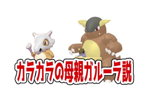 【ポケモン都市伝説】カラカラの親はガルーラ3つの理由と一緒に解説します