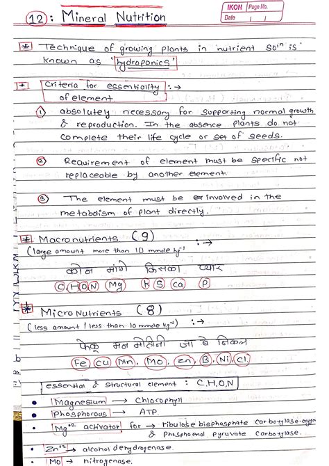 SOLUTION Mineral Nutrition Studypool