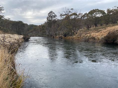 Rebel With A Cause On Twitter Maclaughlin River Near Nimmitabel On