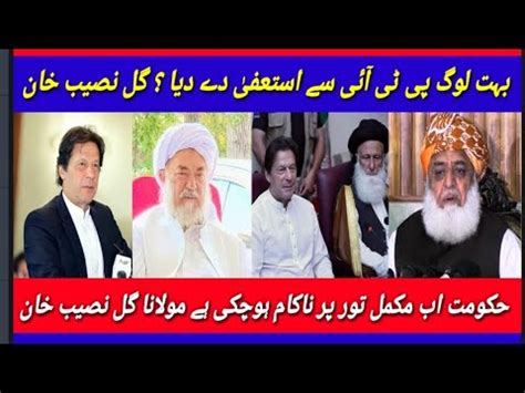 Mulana Gull Naseeb Khan With Imran Khan Interview Pashto Video Report