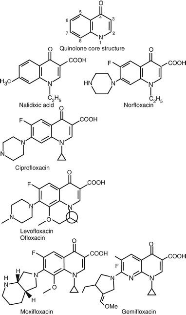 Quinolones | Oncohema Key