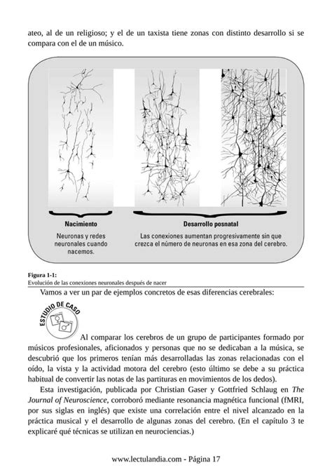 COMO FUNCIONA TU CEREBRO PARA DUMMIES Pdf